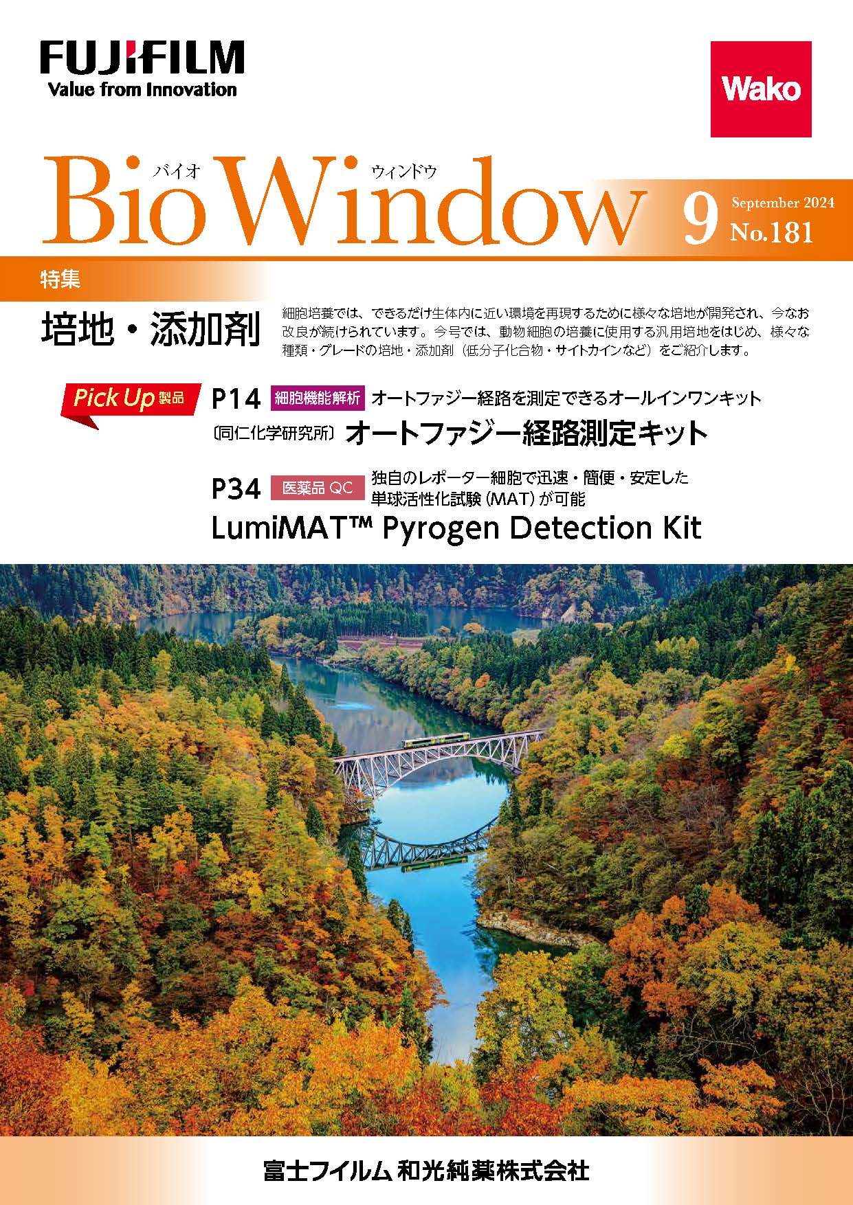 BioWindow